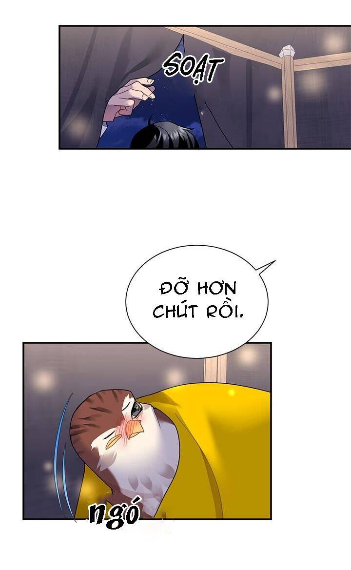 Công Chúa Của Loài Chim Chapter 17 - Trang 2