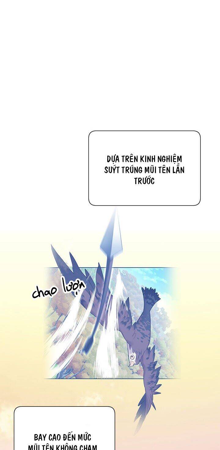 Công Chúa Của Loài Chim Chapter 15 - Trang 2