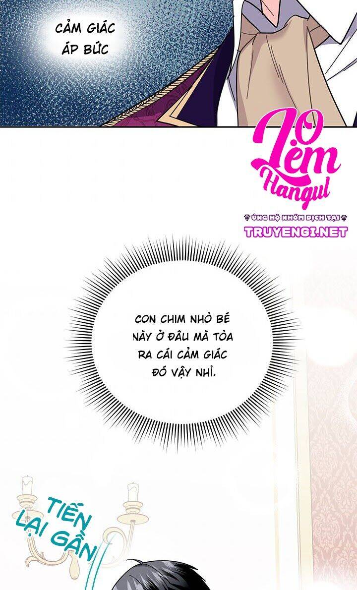 Công Chúa Của Loài Chim Chapter 14 - Trang 2