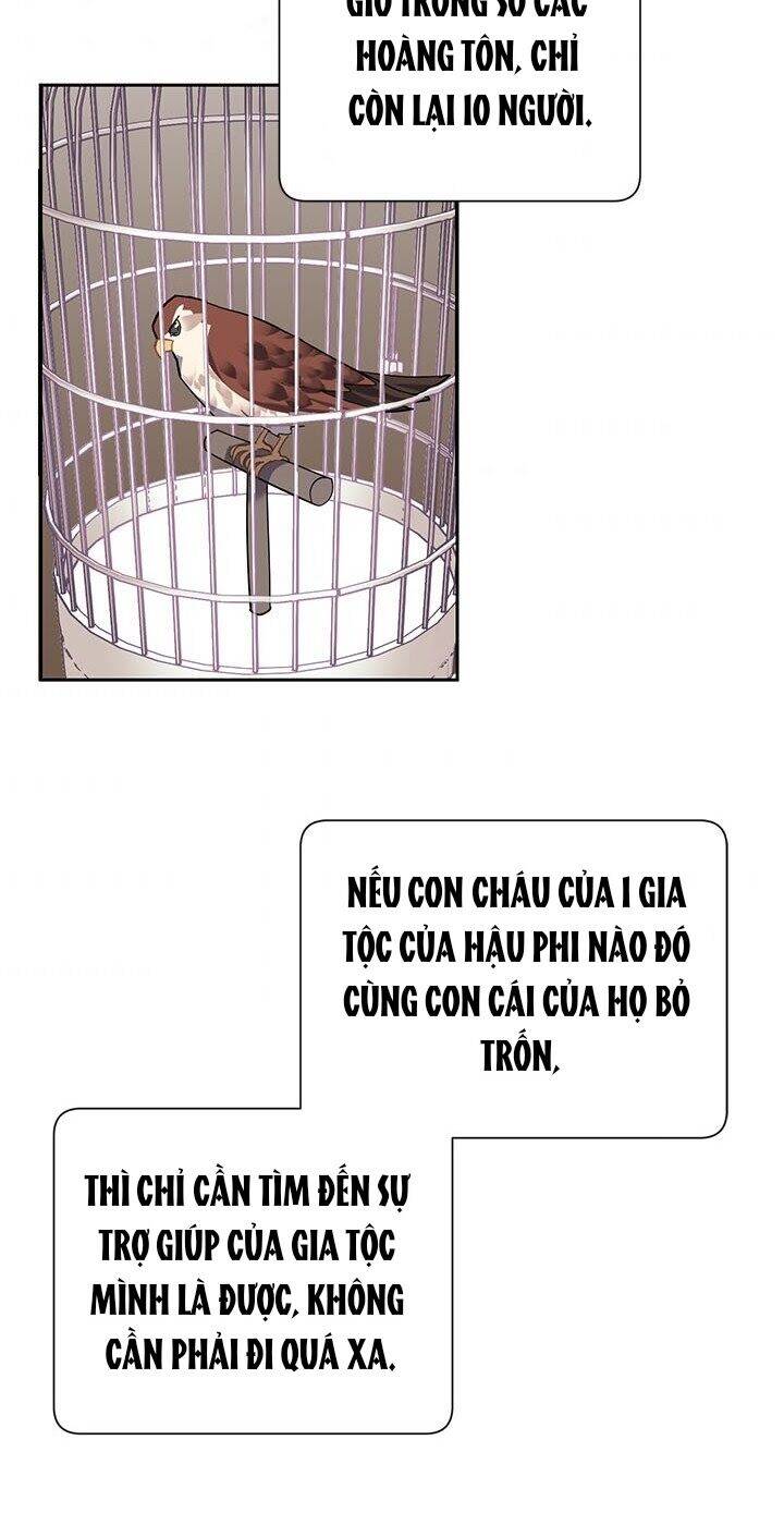 Công Chúa Của Loài Chim Chapter 13 - Trang 2