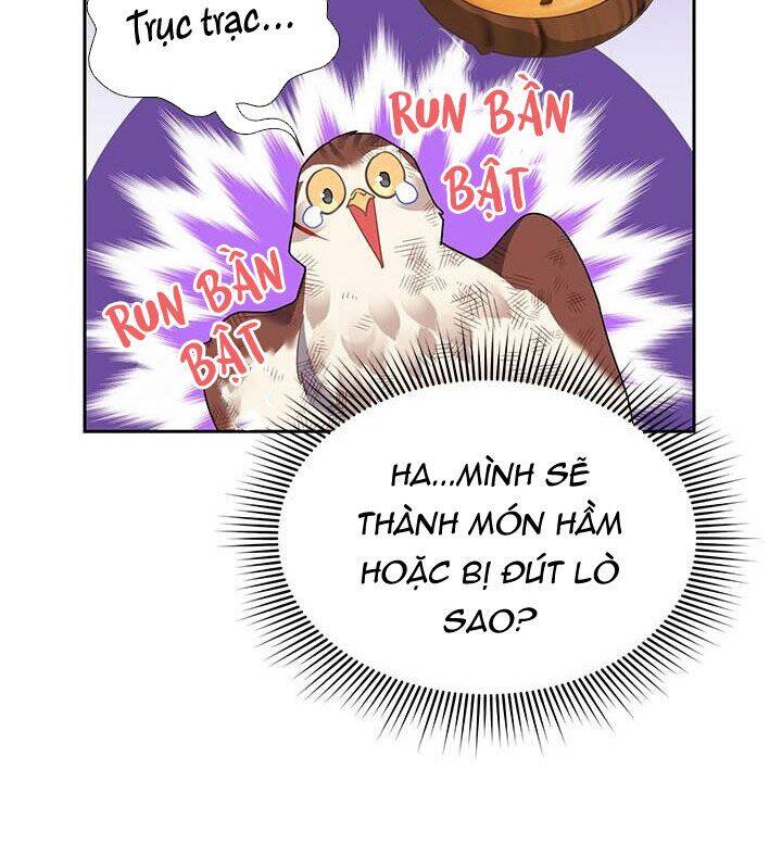 Công Chúa Của Loài Chim Chapter 12 - Trang 2