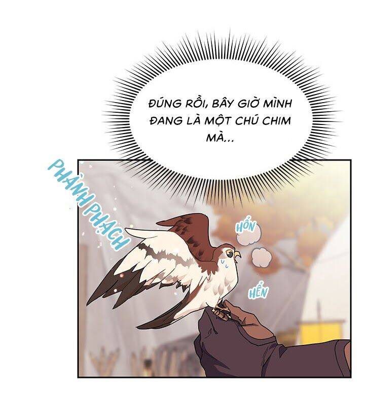 Công Chúa Của Loài Chim Chapter 11 - Trang 2