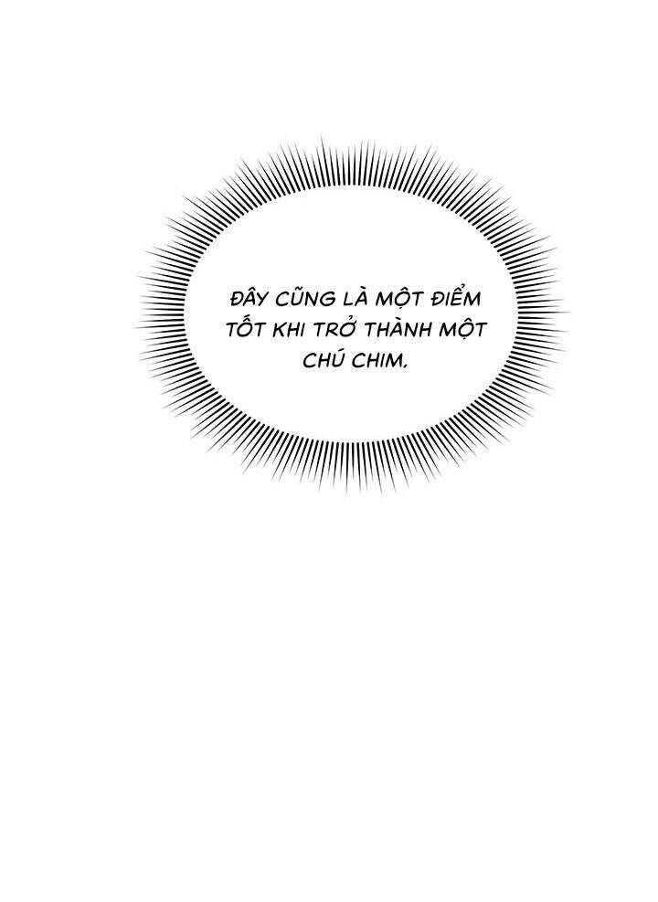 Công Chúa Của Loài Chim Chapter 11 - Trang 2