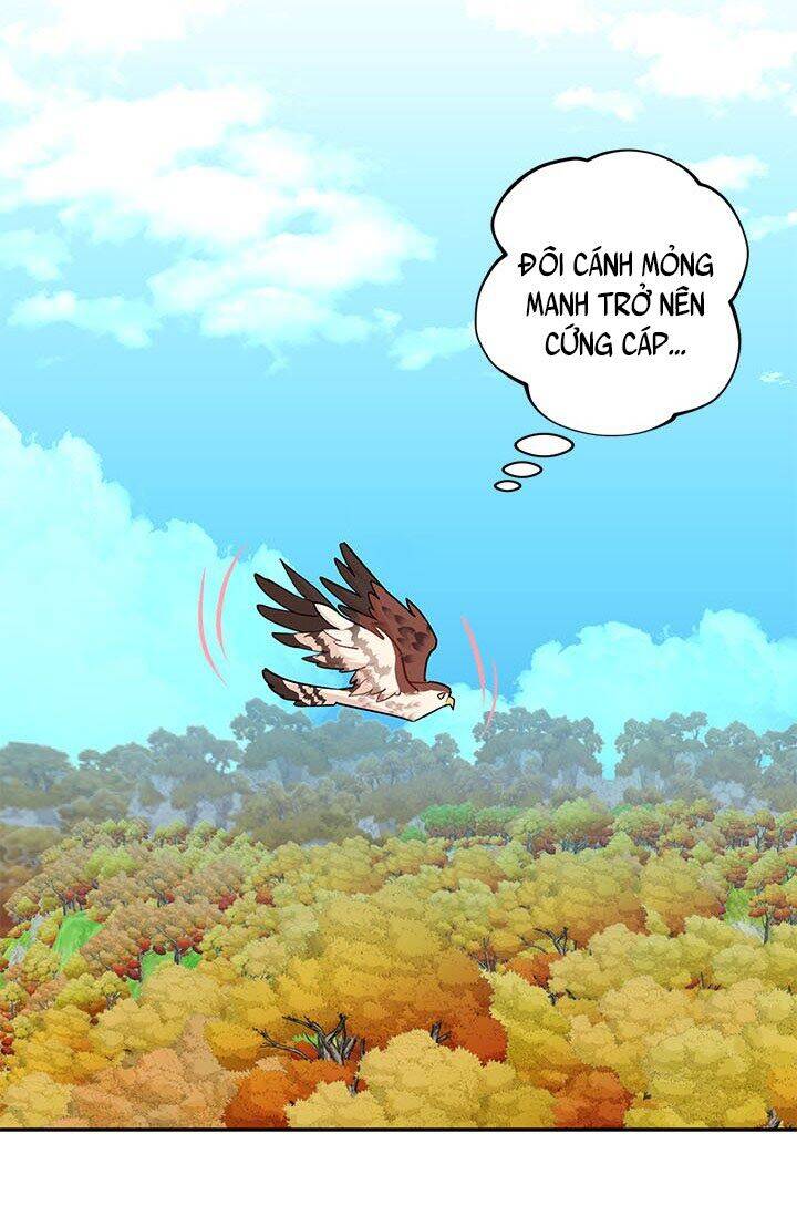 Công Chúa Của Loài Chim Chapter 7 - Trang 2