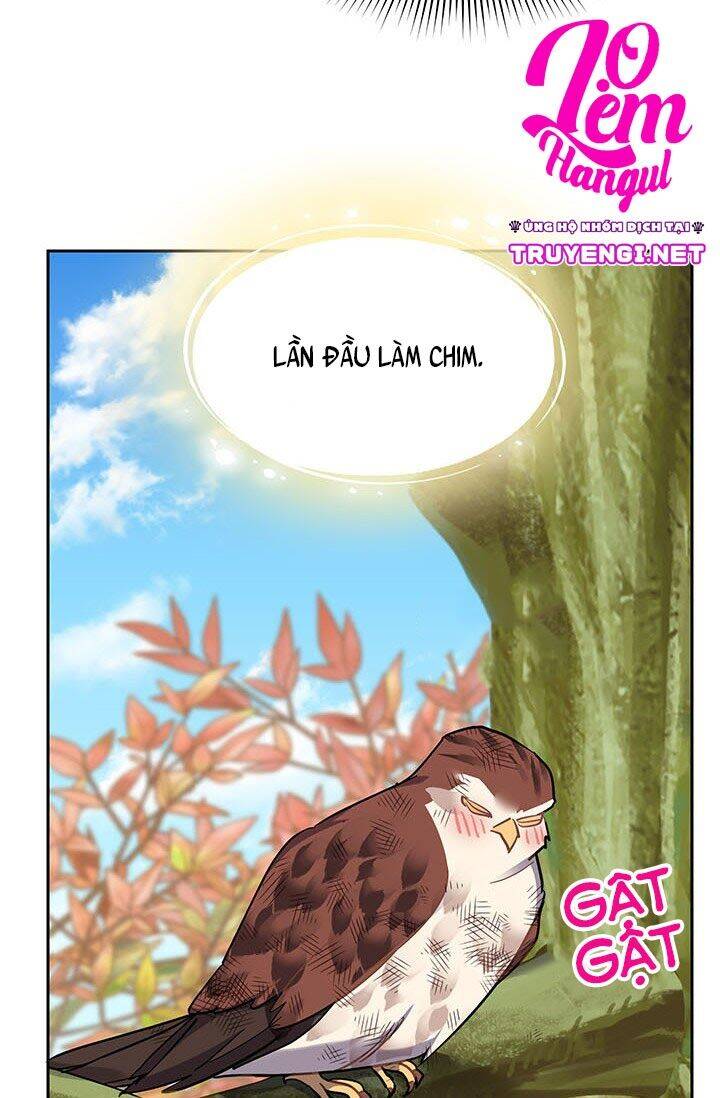 Công Chúa Của Loài Chim Chapter 7 - Trang 2