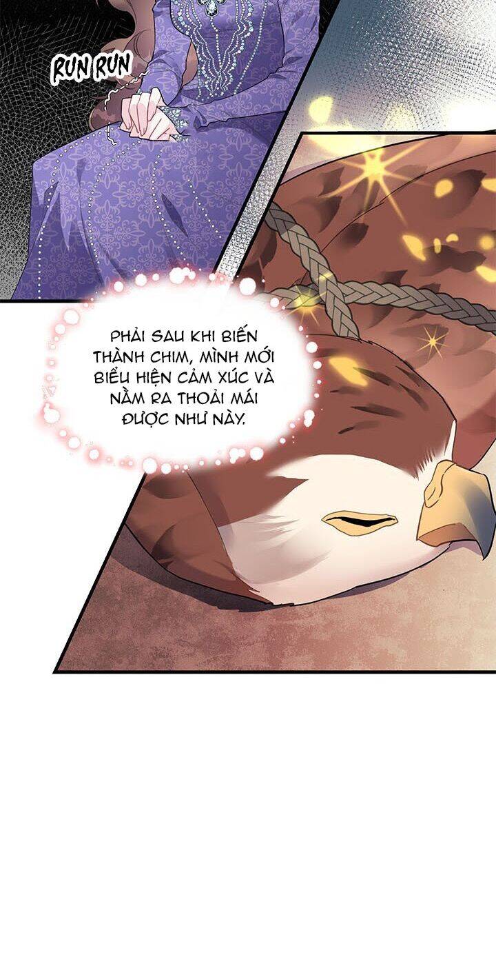 Công Chúa Của Loài Chim Chapter 4 - Trang 2