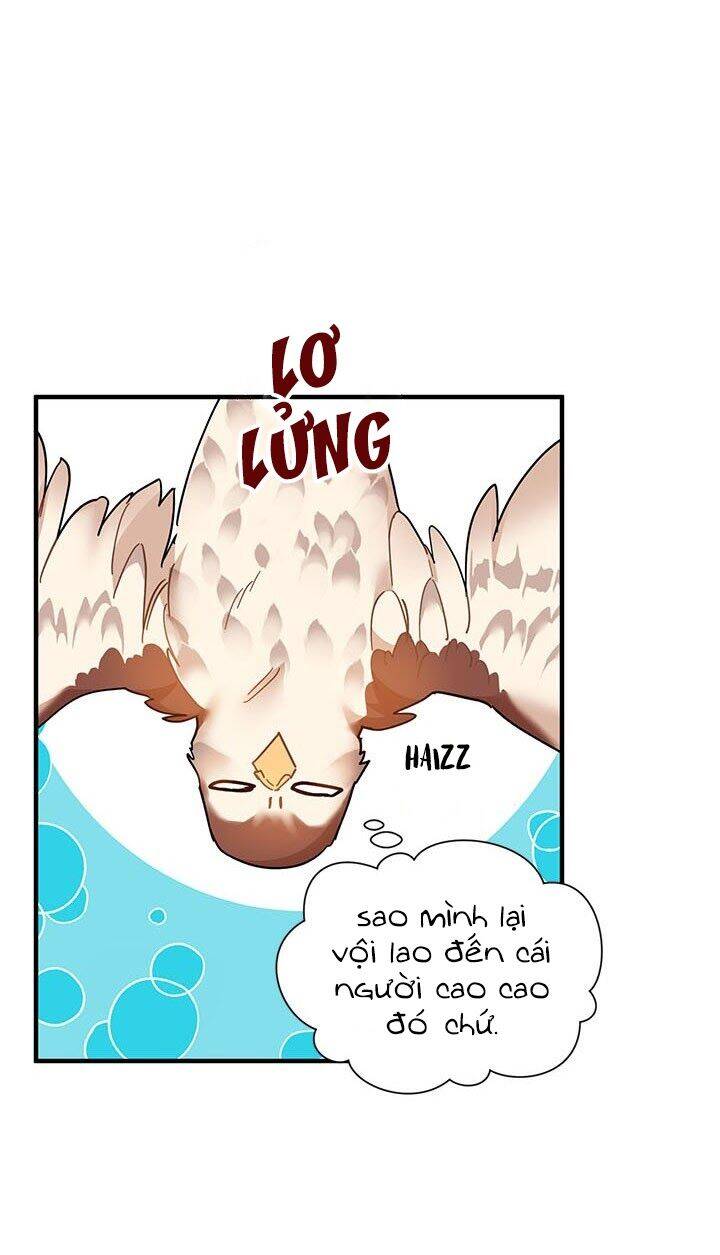 Công Chúa Của Loài Chim Chapter 3 - Trang 2