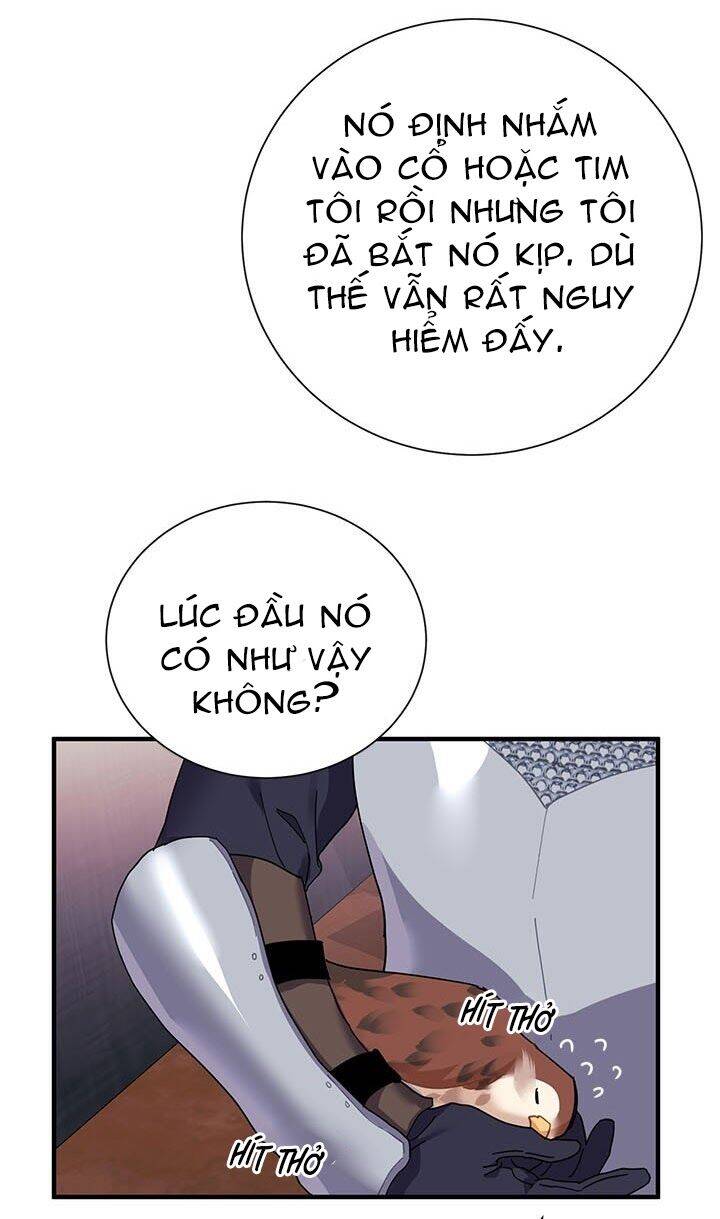 Công Chúa Của Loài Chim Chapter 3 - Trang 2