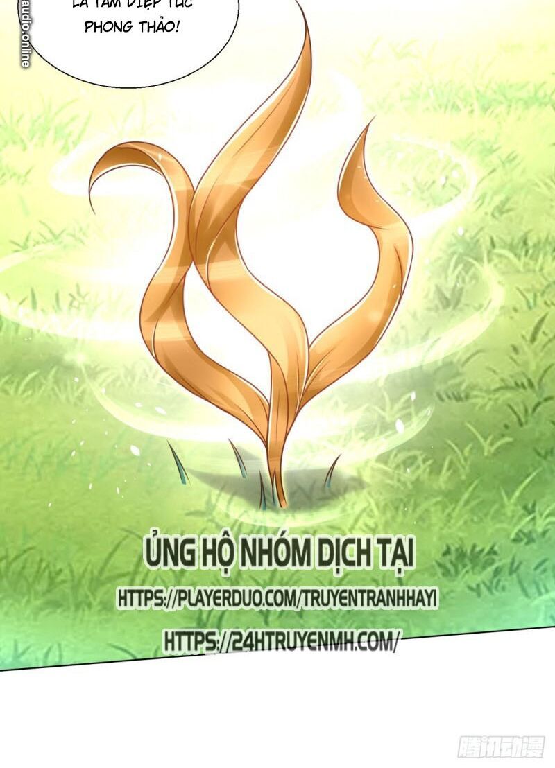 Chí Tôn Trọng Sinh Chapter 88 - Trang 2