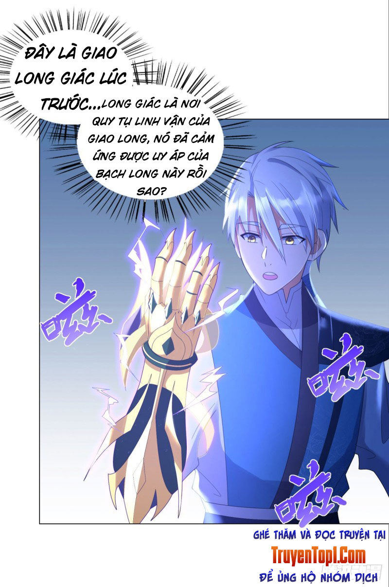 Chí Tôn Trọng Sinh Chapter 48 - Trang 2