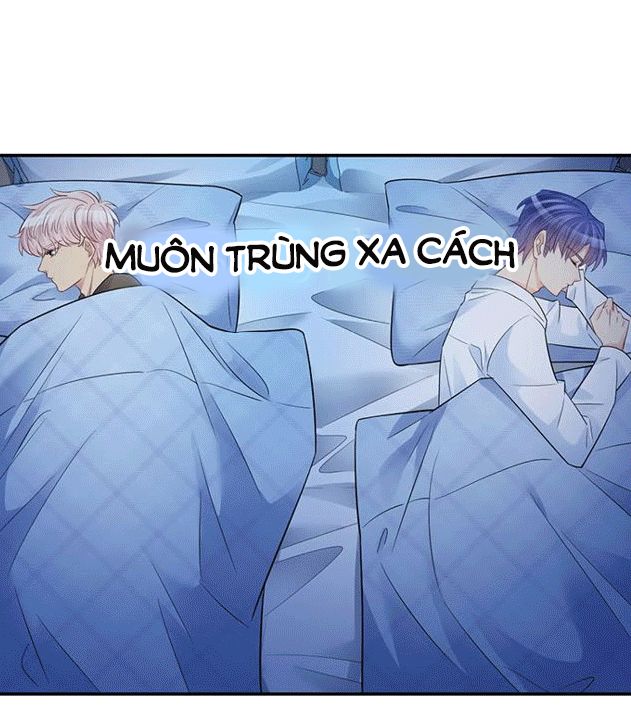 Trọng Sinh Để Ngủ Với Ảnh Đế Chapter 210 - Trang 2