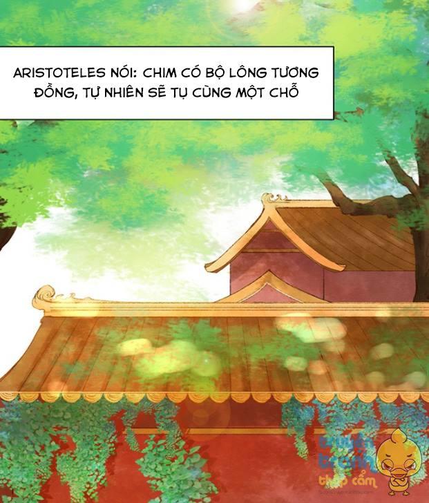 Trọng Sinh Để Ngủ Với Ảnh Đế Chapter 13 - Trang 2