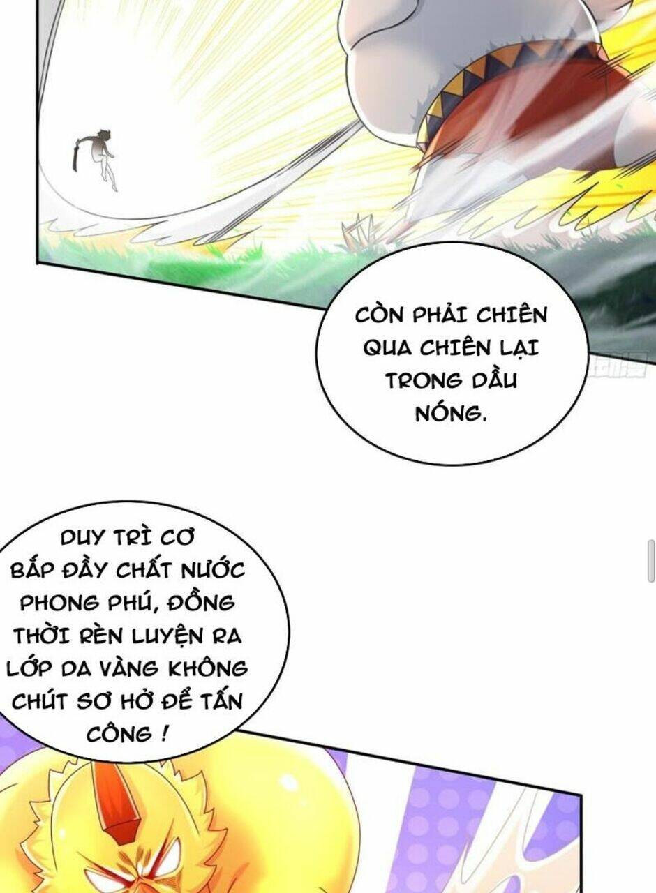 Tuyệt Sắc Đạo Lữ Đều Nói Ngô Hoàng Thể Chất Vô Địch Chapter 62 - Trang 2