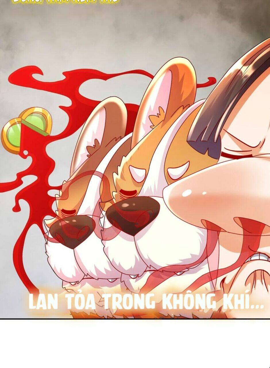 Tuyệt Sắc Đạo Lữ Đều Nói Ngô Hoàng Thể Chất Vô Địch Chapter 61 - Trang 2