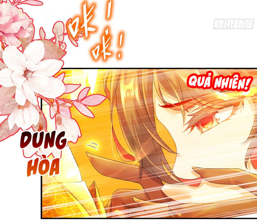 Tuyệt Sắc Đạo Lữ Đều Nói Ngô Hoàng Thể Chất Vô Địch Chapter 7 - Trang 2