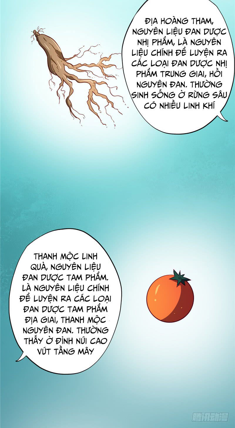 Chí Tôn Võ Đế Chapter 63 - Trang 2