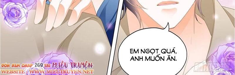 Thiểm Hôn Kiều Thê Chapter 269 - Trang 2