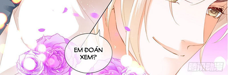 Thiểm Hôn Kiều Thê Chapter 259 - Trang 2