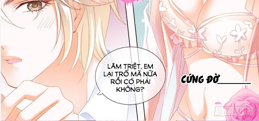 Thiểm Hôn Kiều Thê Chapter 251 - Trang 2