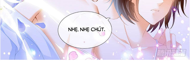 Thiểm Hôn Kiều Thê Chapter 244 - Trang 2