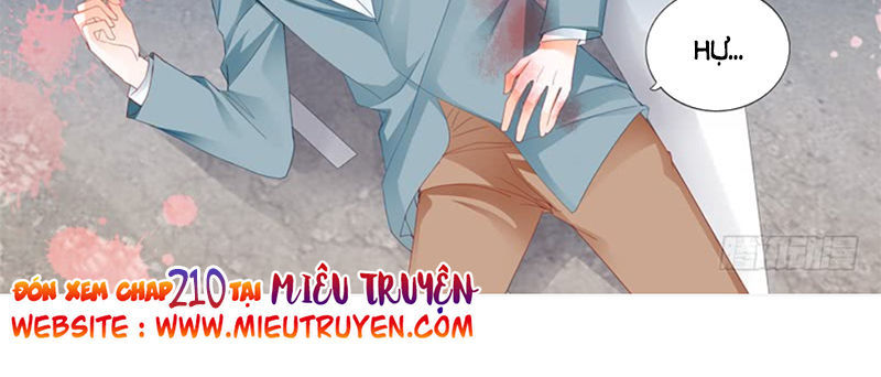 Thiểm Hôn Kiều Thê Chapter 209 - Trang 2