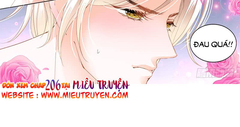 Thiểm Hôn Kiều Thê Chapter 205 - Trang 2