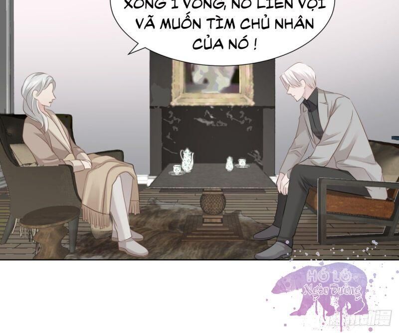 Điều Giáo Gấu Bắc Cực Chapter 53 - Trang 2