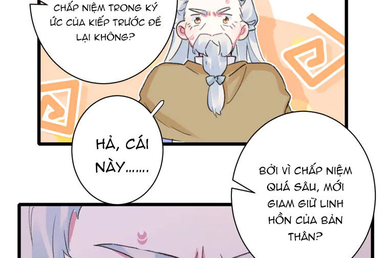 Hoa Nhan Sách Chapter 206 - Trang 2