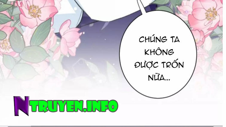 Hoa Nhan Sách Chapter 197 - Trang 2