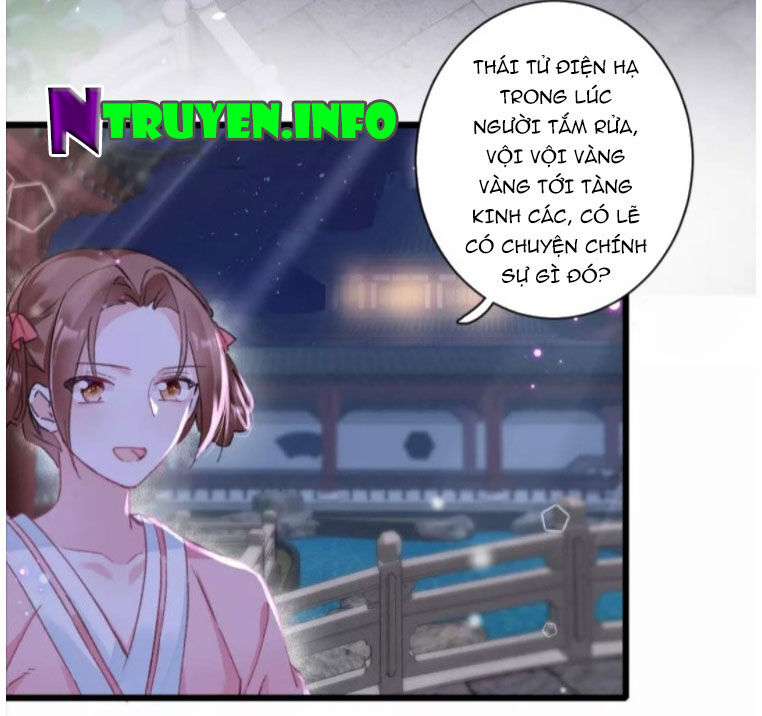 Hoa Nhan Sách Chapter 195 - Trang 2