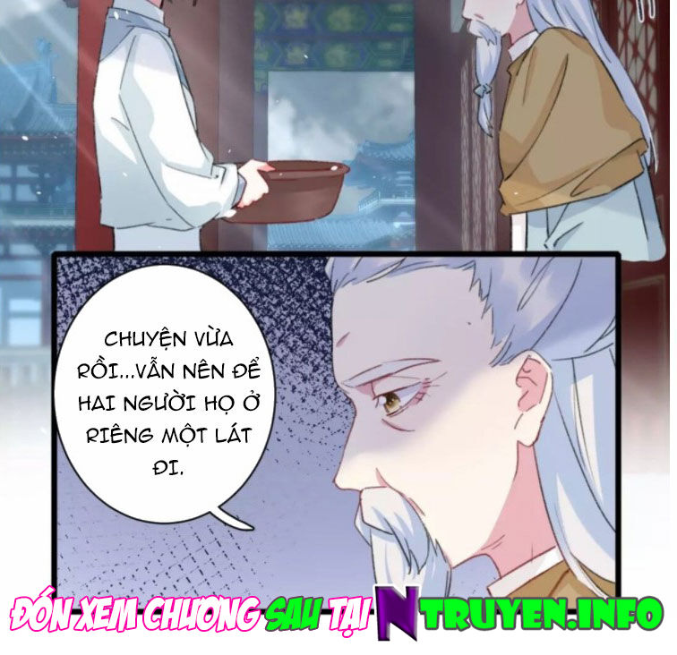 Hoa Nhan Sách Chapter 191 - Trang 2