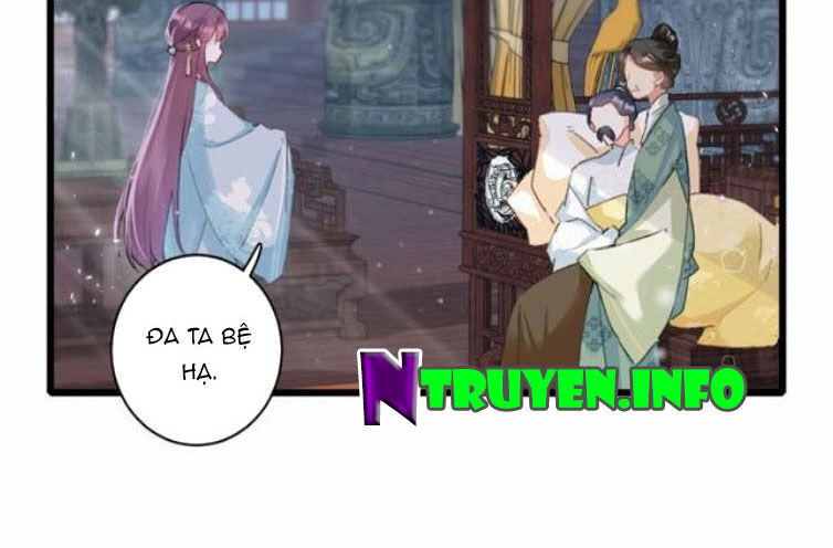 Hoa Nhan Sách Chapter 187 - Trang 2