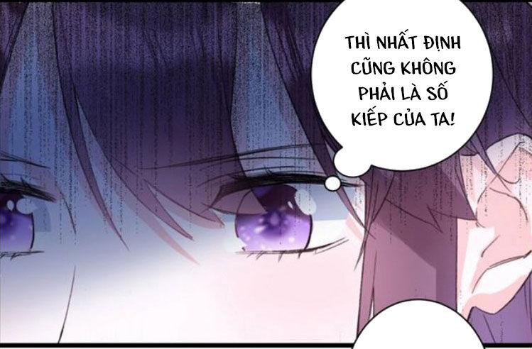 Hoa Nhan Sách Chapter 181 - Trang 2