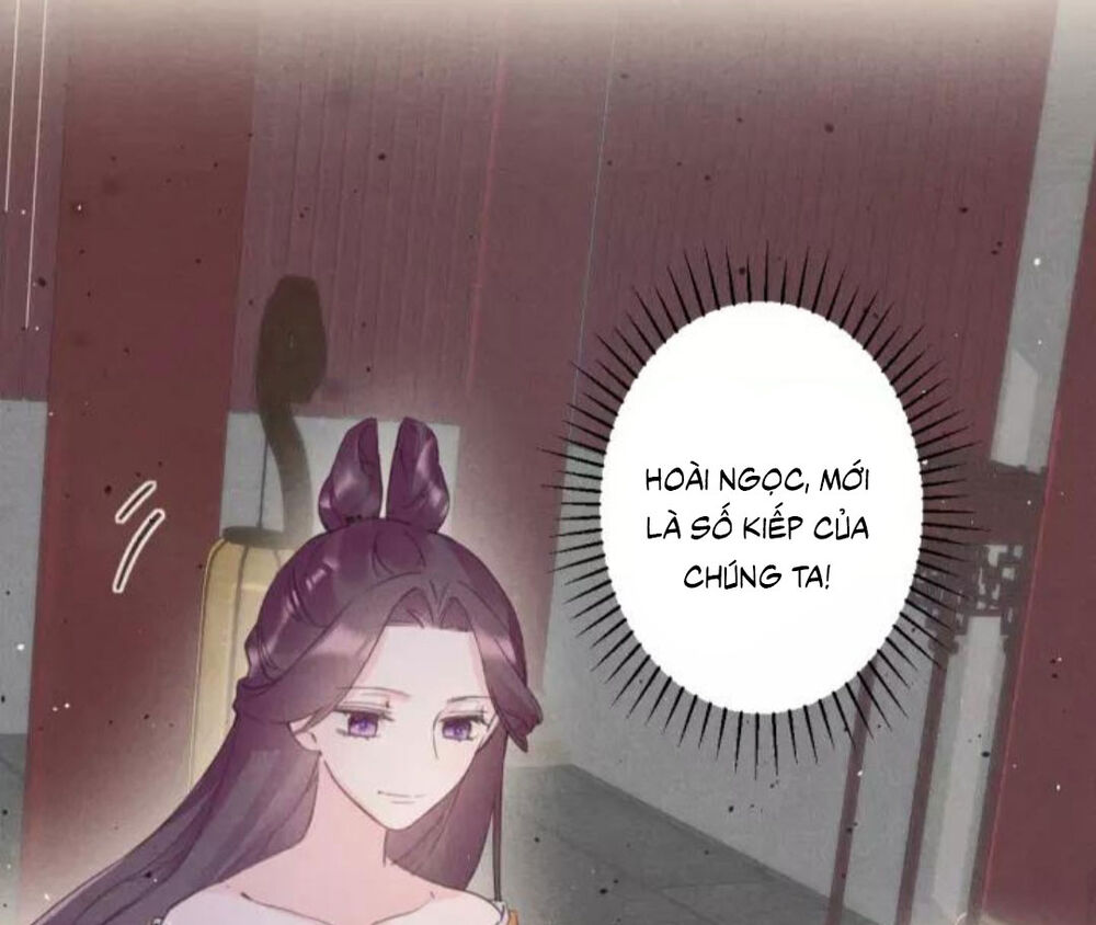 Hoa Nhan Sách Chapter 180 - Trang 2