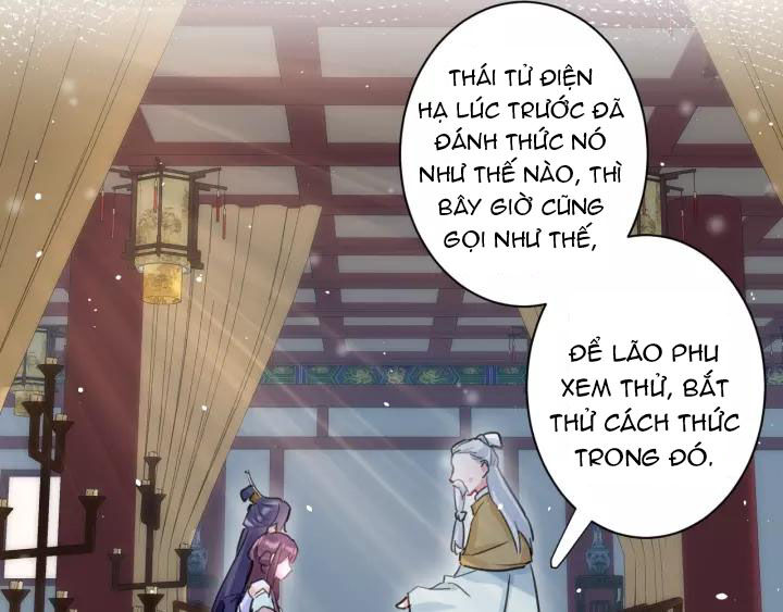 Hoa Nhan Sách Chapter 178 - Trang 2