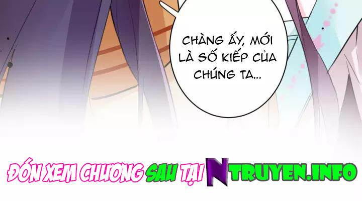 Hoa Nhan Sách Chapter 176 - Trang 2