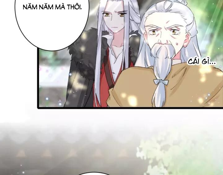 Hoa Nhan Sách Chapter 172 - Trang 2