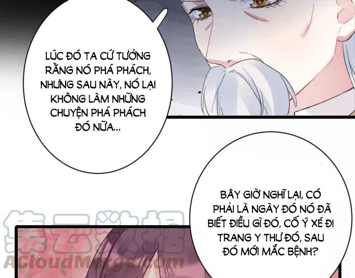 Hoa Nhan Sách Chapter 166 - Trang 2