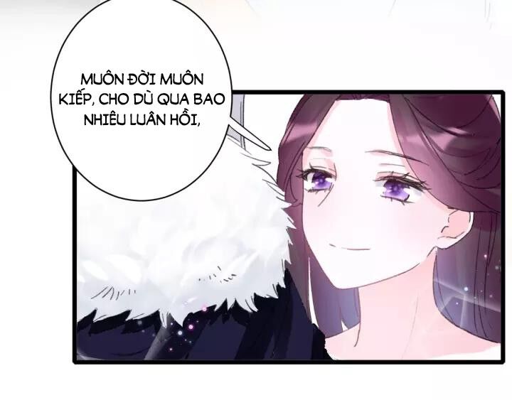 Hoa Nhan Sách Chapter 165 - Trang 2