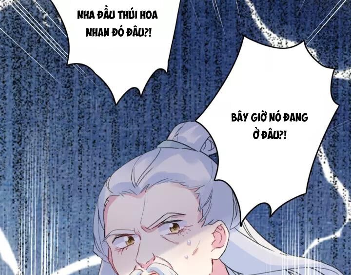 Hoa Nhan Sách Chapter 164 - Trang 2