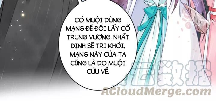 Hoa Nhan Sách Chapter 162 - Trang 2