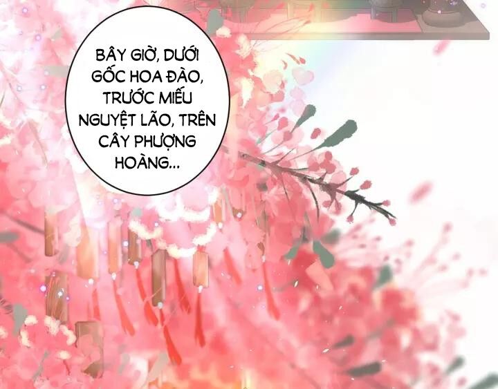 Hoa Nhan Sách Chapter 154 - Trang 2