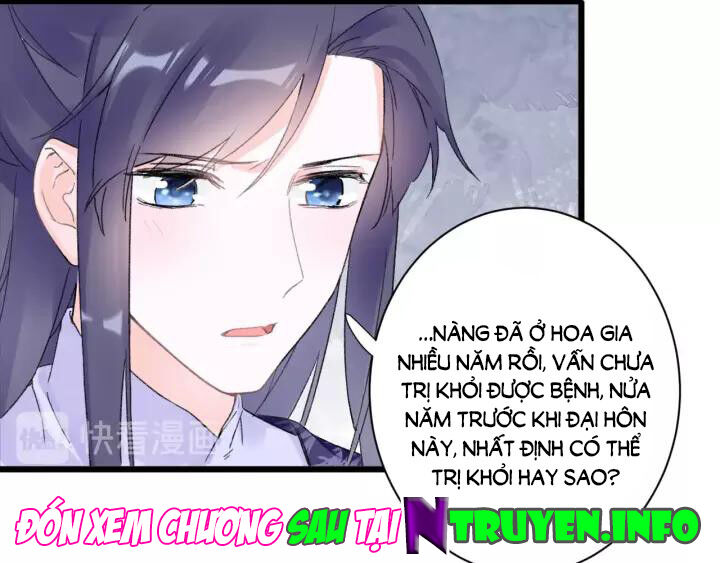 Hoa Nhan Sách Chapter 146 - Trang 2