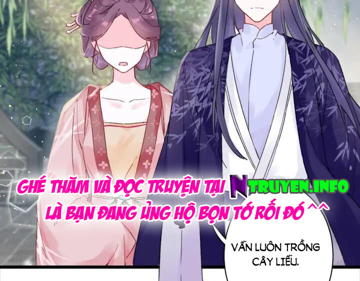 Hoa Nhan Sách Chapter 139 - Trang 2