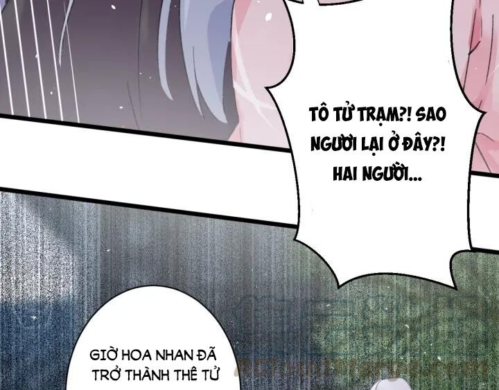 Hoa Nhan Sách Chapter 138 - Trang 2