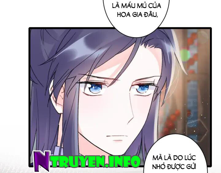 Hoa Nhan Sách Chapter 135 - Trang 2