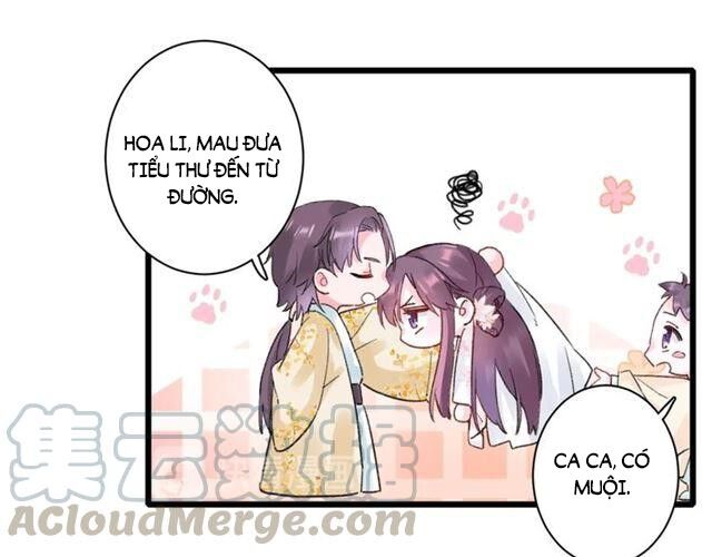 Hoa Nhan Sách Chapter 128 - Trang 2