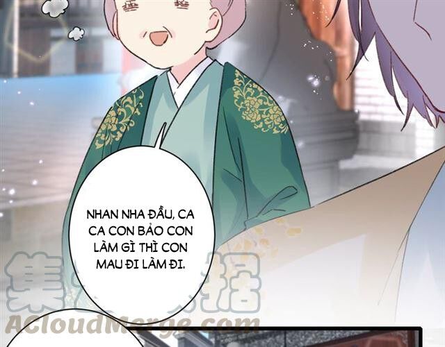 Hoa Nhan Sách Chapter 128 - Trang 2