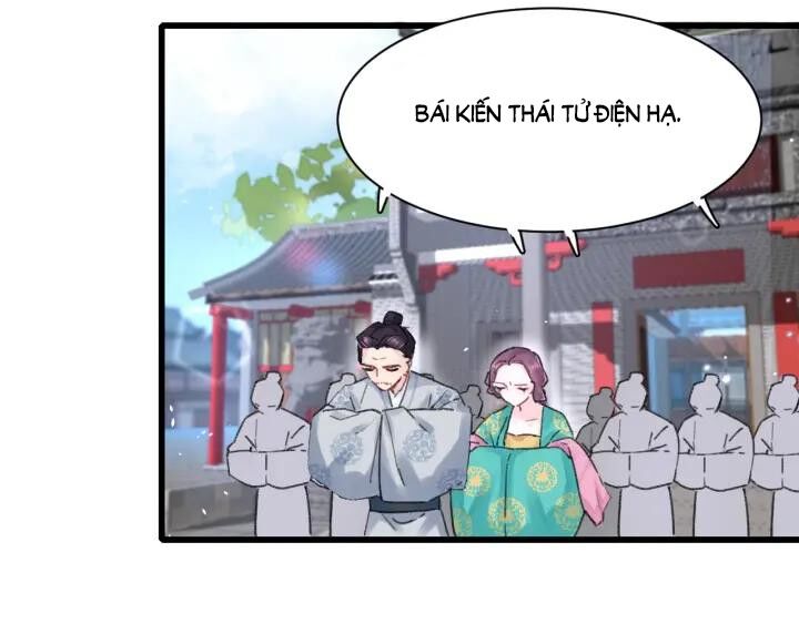 Hoa Nhan Sách Chapter 127 - Trang 2