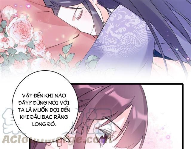 Hoa Nhan Sách Chapter 117 - Trang 2